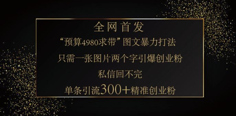 小红书神奇图片引流法，只需一张图，就能单条笔记凭借此方法，轻松引流 300 + 精准创业粉-九洲网