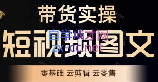 鑫哥·2024零基础短视频带货实操营-九洲网