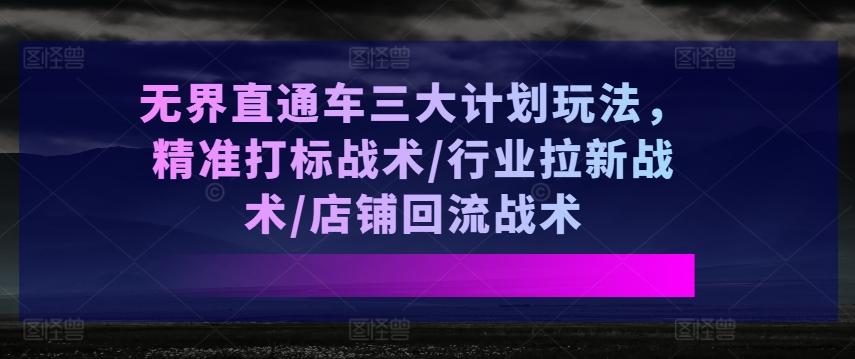 无界直通车三大计划玩法，精准打标战术/行业拉新战术/店铺回流战术-九洲网