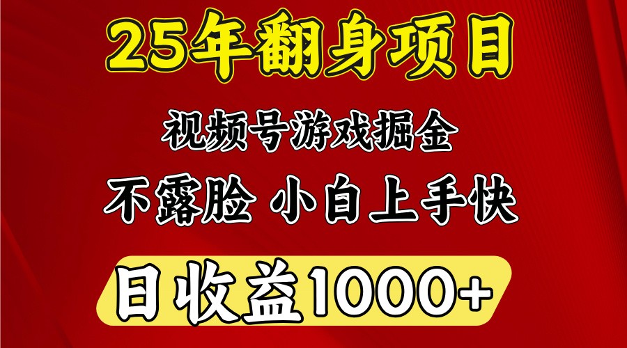 一天收益1000+ 25年开年落地好项目-九洲网
