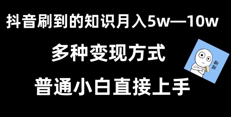 抖音刷到的知识，每天只需2小时，日入2000+，暴力变现，普通小白直接上手【揭秘】-九洲网