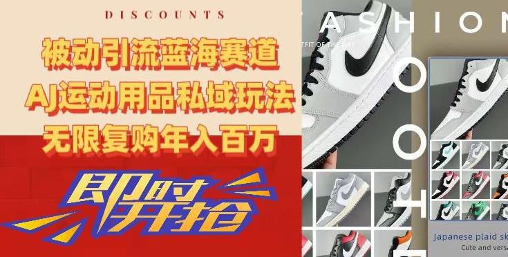 被动引流蓝海赛道，AJ运动用品私域玩法，无限复购年入百万【揭秘】-九洲网