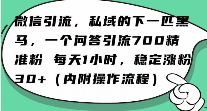 怎么搞精准创业粉？微信新赛道，每天一小时，利用Ai一个问答日引100精准粉-九洲网