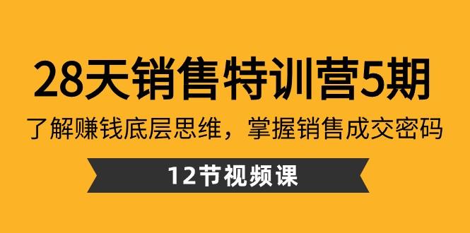 28天销售特训营5期：了解赚钱底层思维，掌握销售成交密码（12节课）-九洲网
