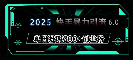 2025年快手6.0保姆级教程震撼来袭，单日狂吸300+精准创业粉-九洲网