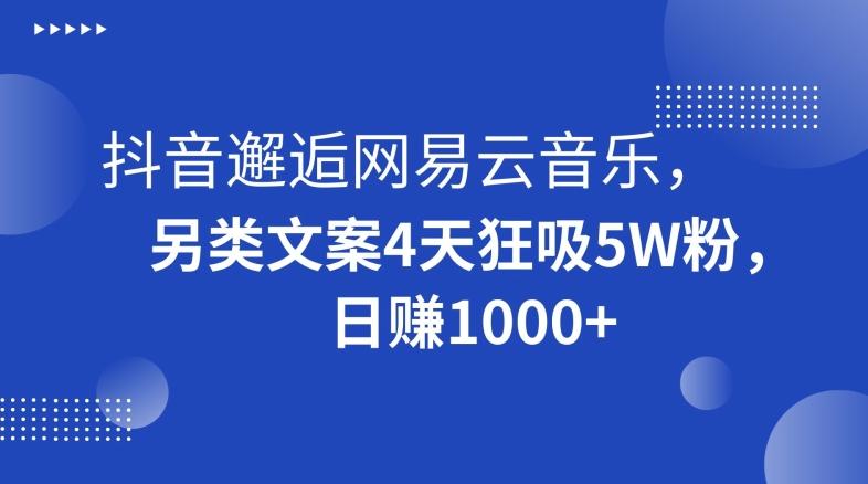 抖音邂逅网易云音乐，另类文案4天狂吸5W粉，日赚1000+【揭秘】-九洲网