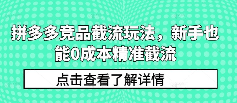 拼多多竞品截流玩法，新手也能0成本精准截流-九洲网