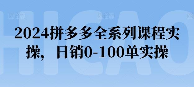 2024拼多多全系列课程实操，日销0-100单实操【必看】-九洲网