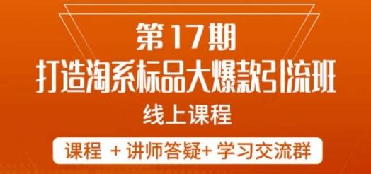 南掌柜-第17期打造淘系标品大爆款，5天线上课-九洲网