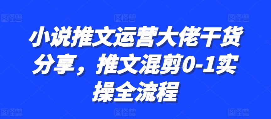 小说推文运营大佬干货分享，推文混剪0-1实操全流程-九洲网