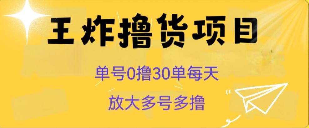 王炸撸货项目，单号0撸30单每天，多号多撸【揭秘】-九洲网