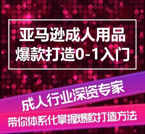亚马逊成人用品爆款打造0-1入门，系统化讲解亚马逊成人用品爆款打造的流程-九洲网