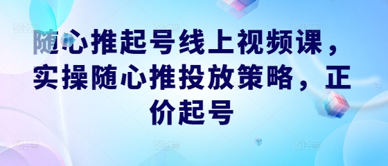 随心推起号线上视频课，实操随心推投放策略，正价起号-九洲网