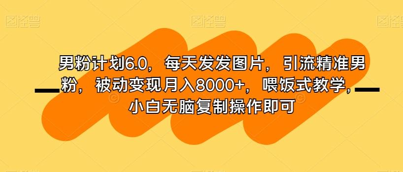 男粉计划6.0，每天发发图片，引流精准男粉，被动变现月入8000+，喂饭式教学，小白无脑复制操作即可-九洲网