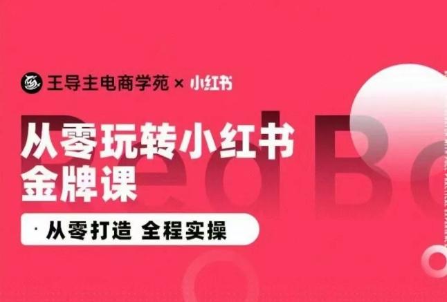 王导主·小红书电商运营实操课，​从零打造  全程实操-九洲网