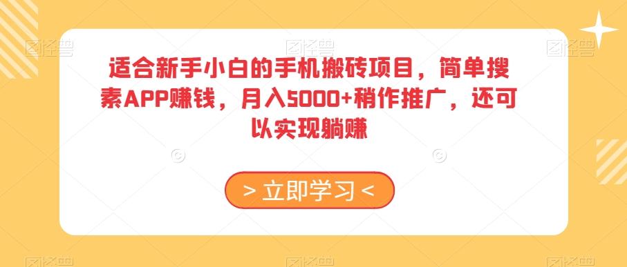 适合新手小白的手机搬砖项目，简单搜素APP赚钱，月入5000+稍作推广，还可以实现躺赚【揭秘】-九洲网