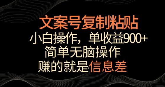 文案号掘金，简单复制粘贴，小白操作，单作品收益900+【揭秘】-九洲网