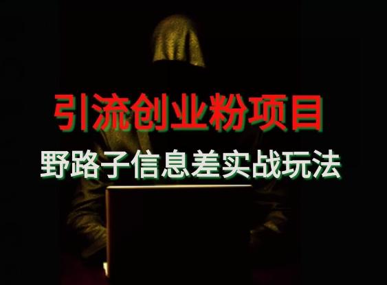 【引流创业粉】野路子信息差玩法实战教学-九洲网