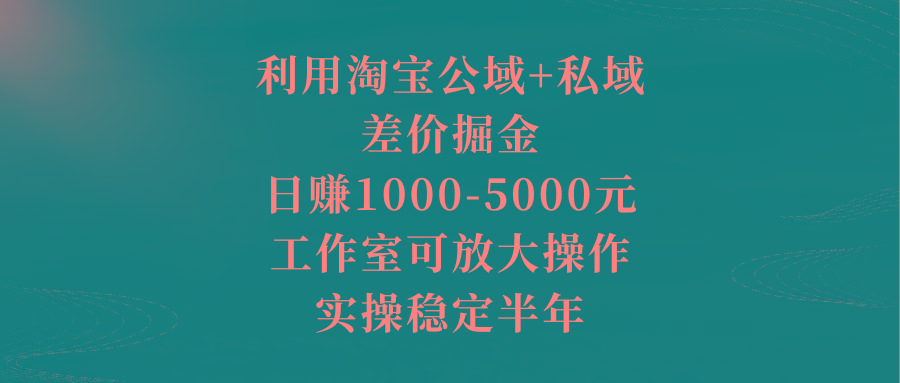 利用淘宝公域+私域差价掘金，日赚1000-5000元，工作室可放大操作，实操...-九洲网