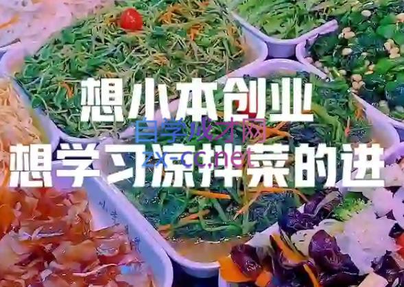 李记·精品凉拌菜系列热卤系列教程-九洲网