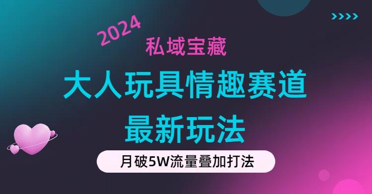 私域宝藏：大人玩具情趣赛道合规新玩法，零投入，私域超高流量成单率高-九洲网
