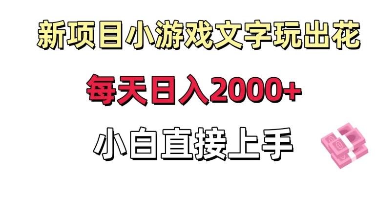 新项目小游戏文字玩出花日入2000+，每天只需一小时，小白直接上手【揭秘】-九洲网