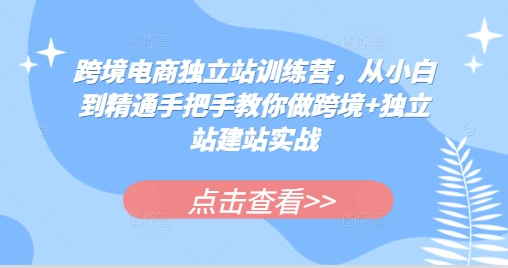 跨境电商独立站训练营，从小白到精通手把手教你做跨境+独立站建站实战-九洲网
