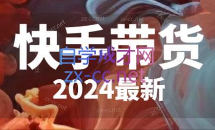 快手带货(2024最新)-九洲网