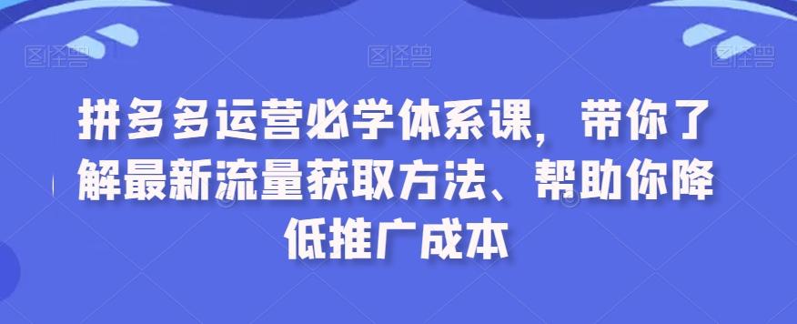 拼多多运营必学体系课，带你了解最新流量获取方法、帮助你降低推广成本-九洲网
