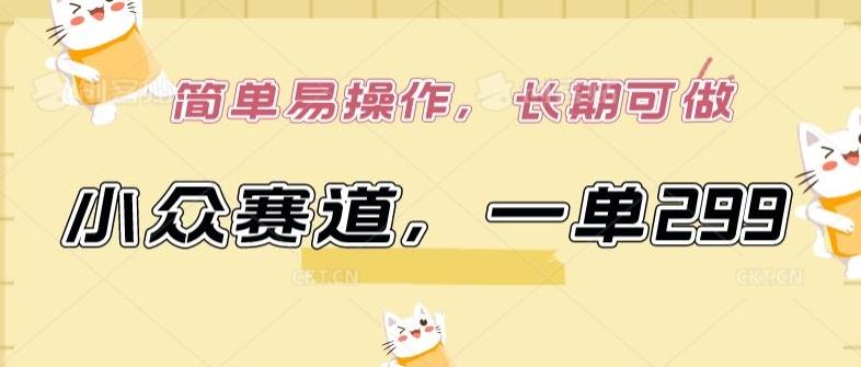 小众赛道，一单299.简单易操作，长期可做【揭秘】-九洲网