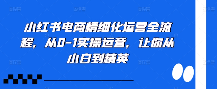 小红书电商精细化运营全流程，从0-1实操运营，让你从小白到精英-九洲网