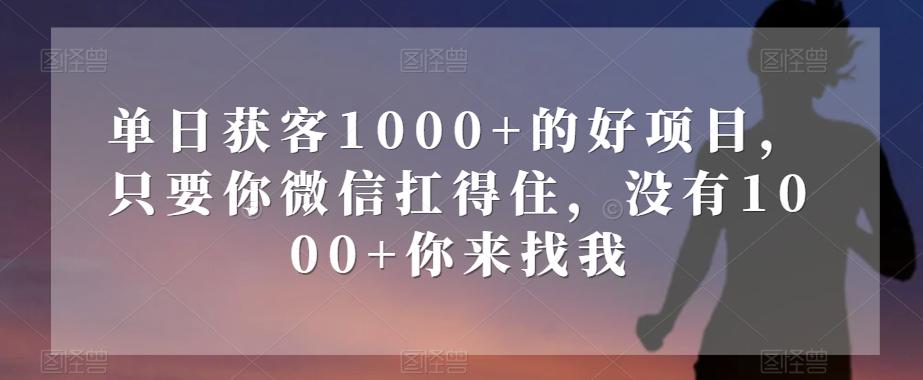 单日获客1000+的好项目，只要你微信扛得住，没有1000+你来找我【揭秘】-九洲网