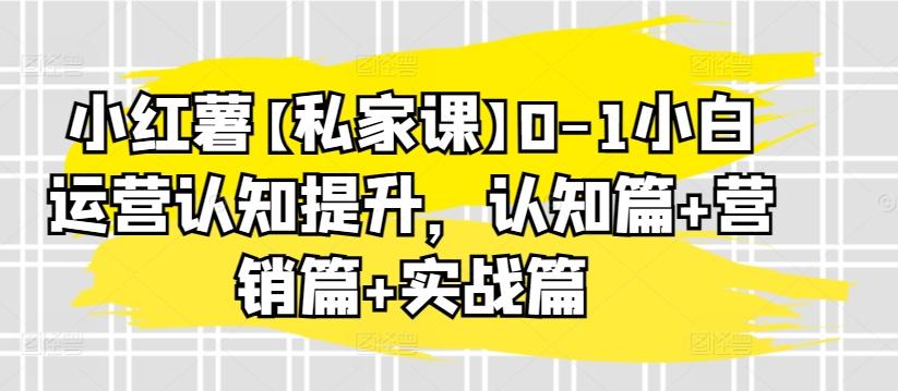 小红薯【私家课】0-1小白运营认知提升，认知篇+营销篇+实战篇-九洲网