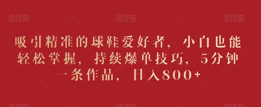 吸引精准的球鞋爱好者，小白也能轻松掌握，持续爆单技巧，5分钟一条作品，日入800+【揭秘】-九洲网