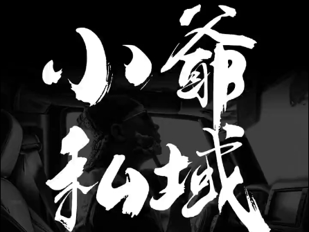 小爷·私域项目操盘手-九洲网