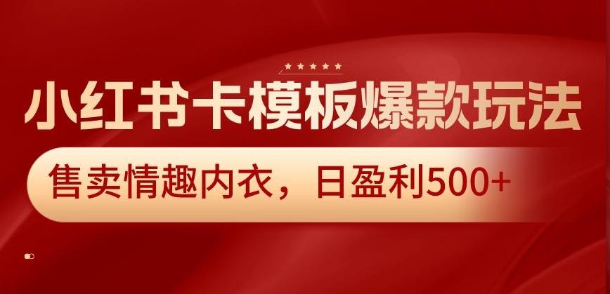 小红书卡模板爆款玩法，售卖情趣内衣，日盈利500+【揭秘】-九洲网