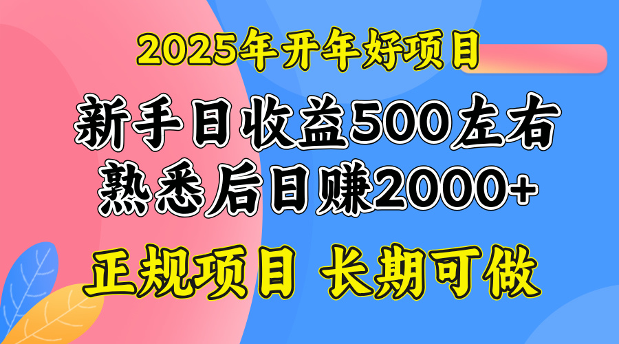 2025开年好项目，单号日收益2000左右-九洲网