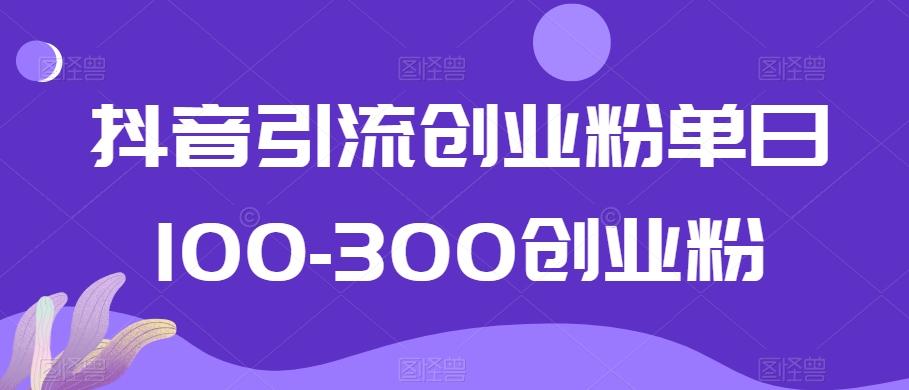抖音引流创业粉单日100-300创业粉【揭秘】-九洲网