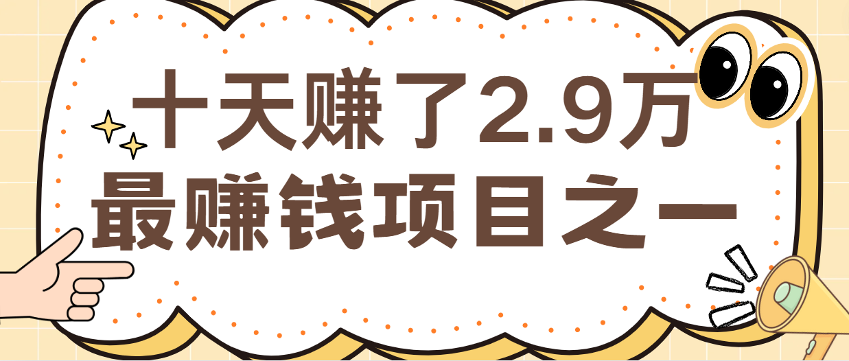 闲鱼小红书最赚钱项目之一，纯手机操作简单，小白必学轻松月入6万+-九洲网