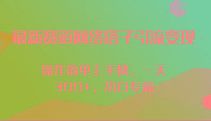 最新赛道网络搭子引流变现!!操作简单上手快，一天300+，小白专属-九洲网