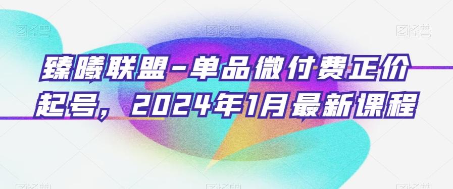 臻曦联盟-单品微付费正价起号，2024年1月最新课程-九洲网