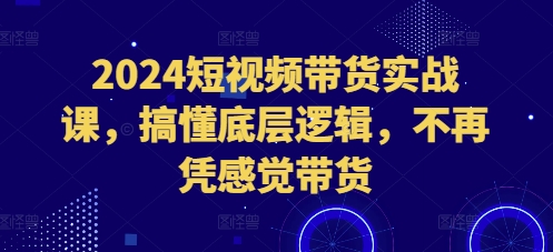 2024短视频带货实战课，搞懂底层逻辑，不再凭感觉带货-九洲网