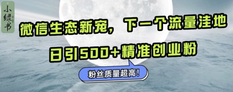 微信生态新宠小绿书：下一个流量洼地，日引500+精准创业粉，粉丝质量超高-九洲网