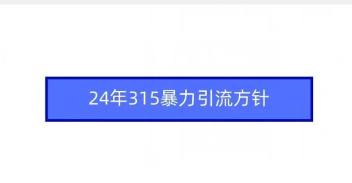 24年315暴力引流方针-九洲网