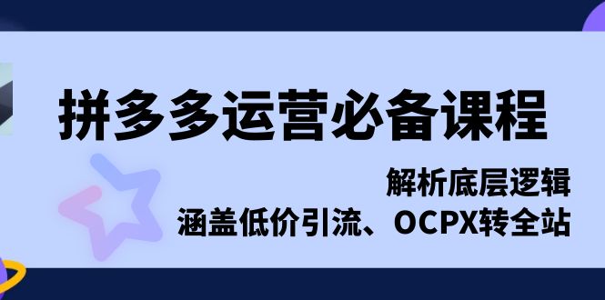 拼多多运营必备课程，解析底层逻辑，涵盖低价引流、OCPX转全站-九洲网