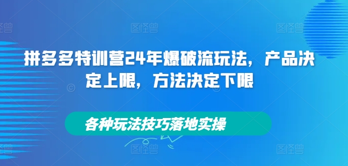 拼多多特训营24年爆破流玩法，产品决定上限，方法决定下限，各种玩法技巧落地实操-九洲网