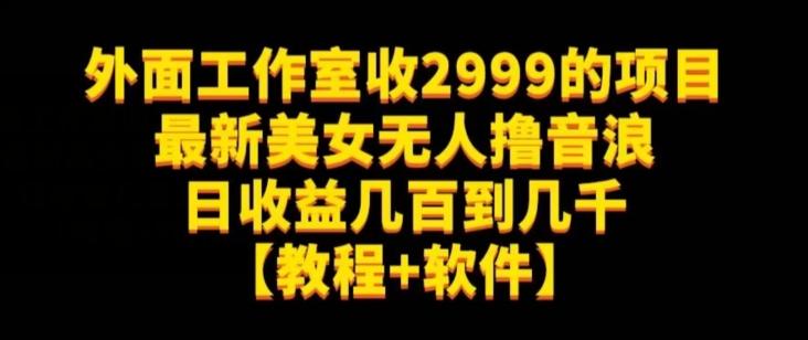 外面工作室收2999的项目最新美女无人撸音浪日收益几百到几千【教程+软件】（仅揭秘）-九洲网