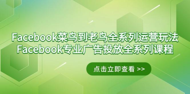 Facebook-菜鸟到老鸟全系列运营玩法+Facebook-专业广告投放全系列课程-九洲网