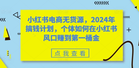 小红书电商无货源，2024年搞钱计划，个体如何在小红书风口赚到第一桶金-九洲网