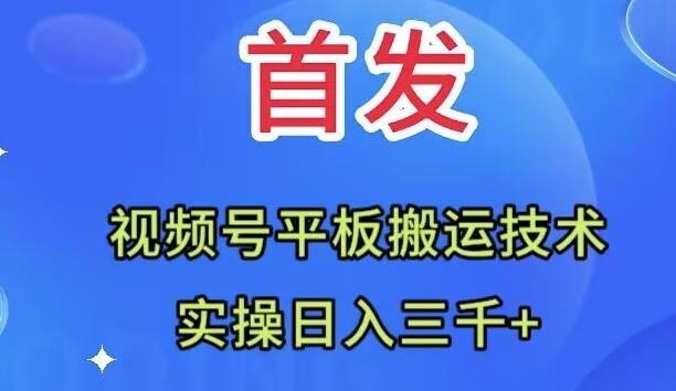全网首发：视频号平板搬运技术，实操日入三千＋-九洲网